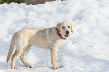 Similar image 22067787