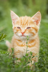 Similar image 22067788