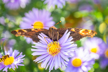 Similar image 22067798