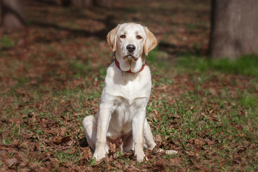 Similar image 22067801