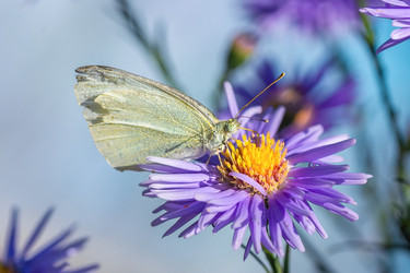 Similar image 22067802