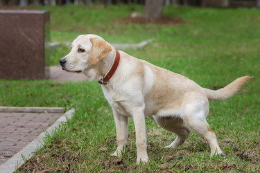 Similar image 22067807