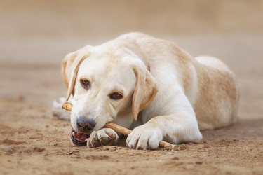 Similar image 22067809