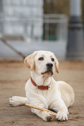 Similar image 22067811