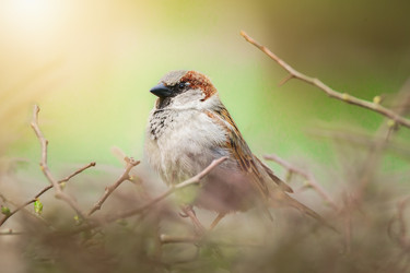 Similar image 22067816