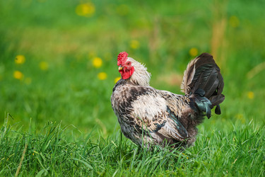 Similar image 22067817