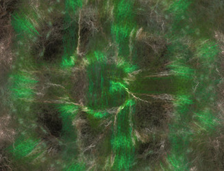 Similar image 22070772