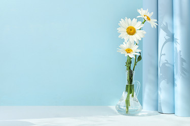 Similar image 22067249