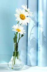 Similar image 22067251