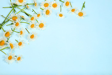 Similar image 22067253