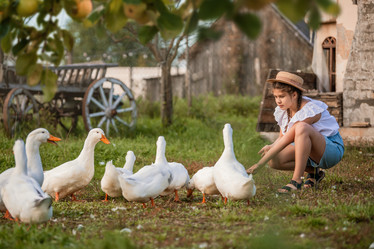 Similar image 22080482