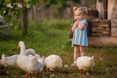 Similar image 22080483