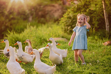 Similar image 22080486