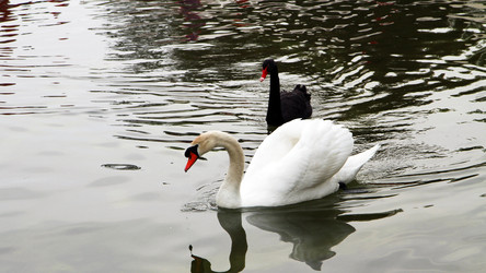 Similar image 22066833