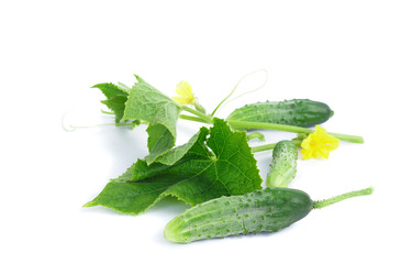 Similar image 22067831