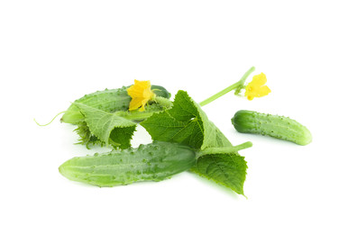 Similar image 22067980