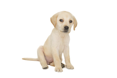 Similar image 22067981