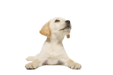 Similar image 22067982