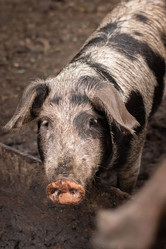 Similar image 22067996