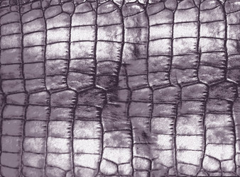 Similar image 22066838