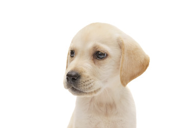 Similar image 22067523