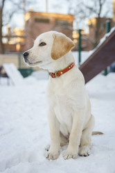 Similar image 22067546