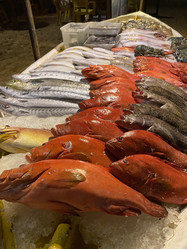 Similar image 22068619