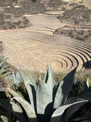 Similar image 22068621