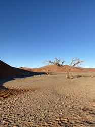 Similar image 22066971