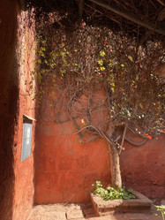 Similar image 22068623