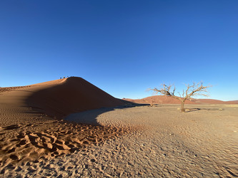 Similar image 22066972