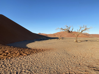 Similar image 22066973