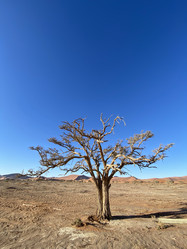 Similar image 22066974