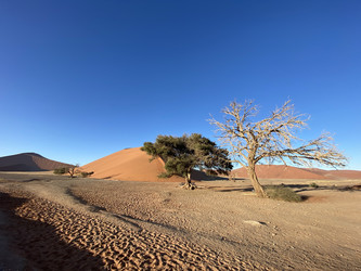 Similar image 22066975