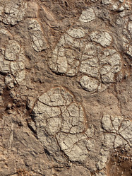 Similar image 22068625