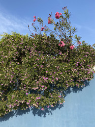 Similar image 22066976