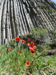 Similar image 22066980