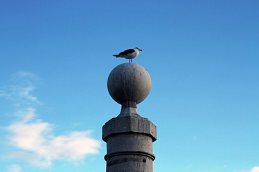 Similar image 22066981