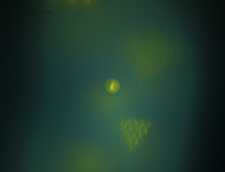 Similar image 22070840