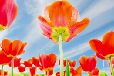 Similar image 22068255