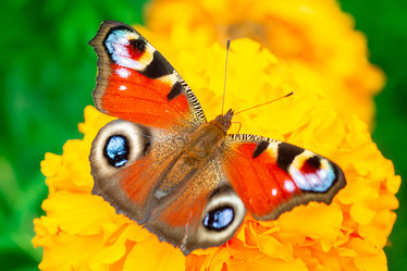 Similar image 22068264