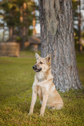 Similar image 22068266