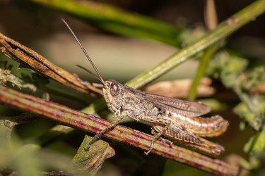 Similar image 22068270