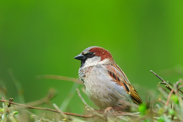 Similar image 22068272