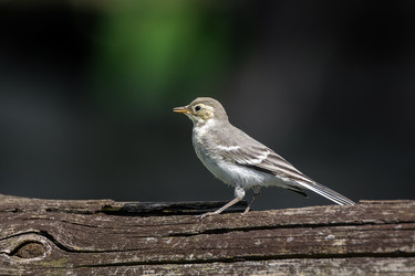 Similar image 22068274