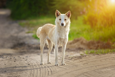 Similar image 22068277