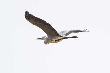 Similar image 22068278