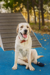 Similar image 22068282