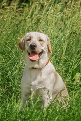 Similar image 22068283