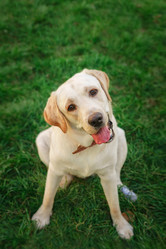 Similar image 22068285